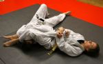 Salford Jiu Jitsu Technics